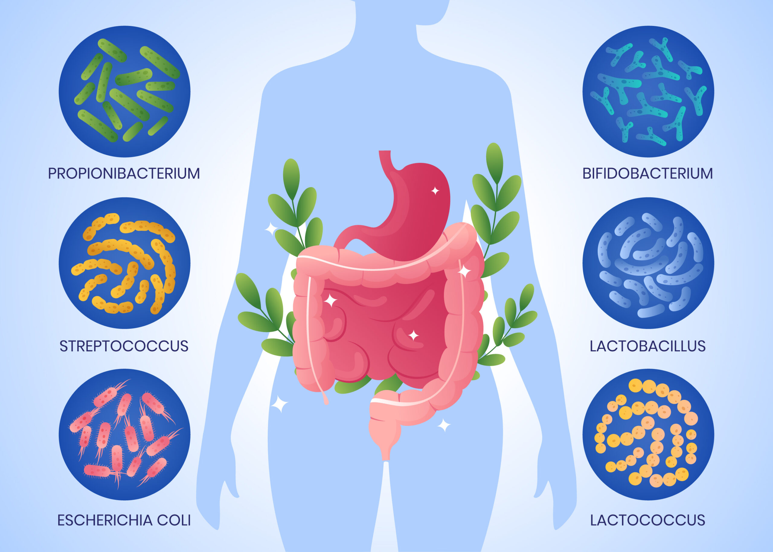Top Signs Your Gut Health Needs Attention